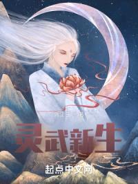灵武新生封面