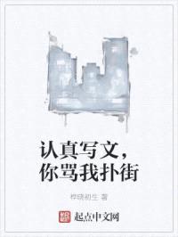 认真写文，你骂我扑街封面
