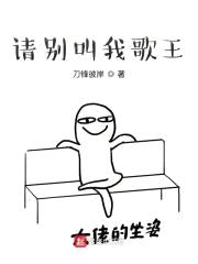请别叫我歌王封面