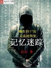 记忆迷踪封面