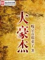 大豪杰封面
