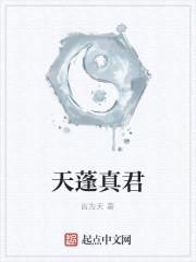 天蓬真君封面