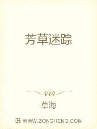 芳草迷踪封面
