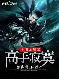 王者荣耀之高手寂寞封面